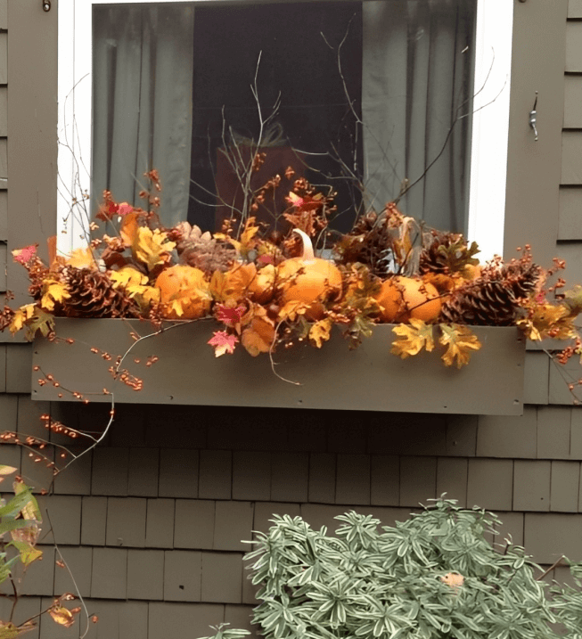 5 Fall Box Ideas for Your Windows: 