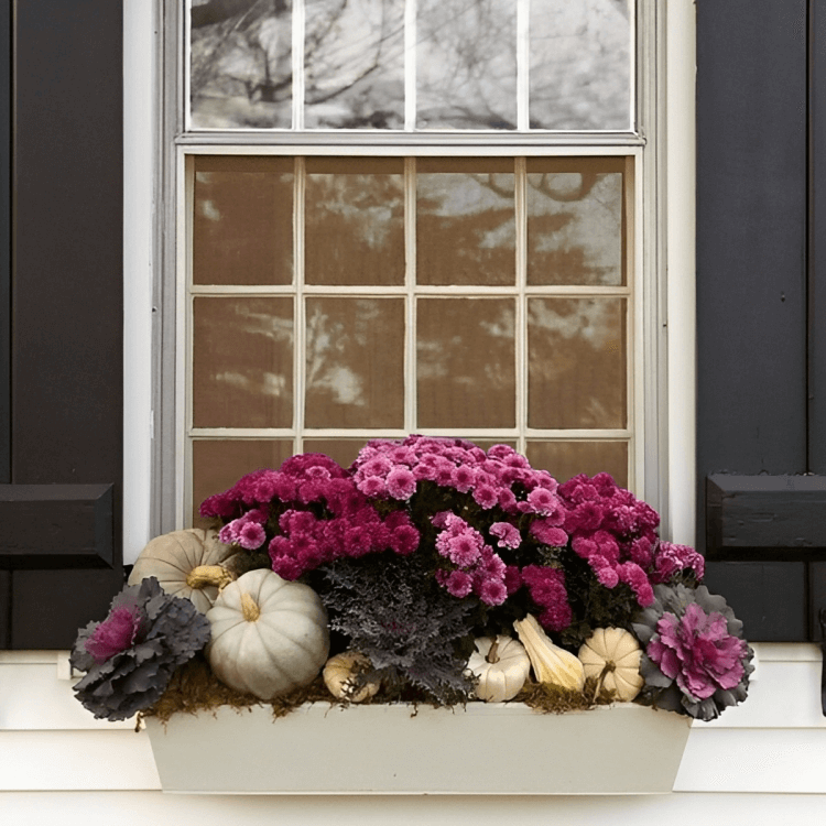 3 Fall Box Ideas for Your Windows: 