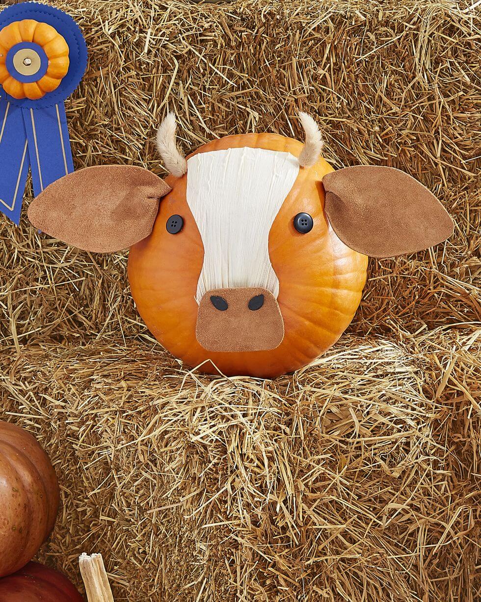 47-Cow Pumpkin 47-Cow Pumpkin