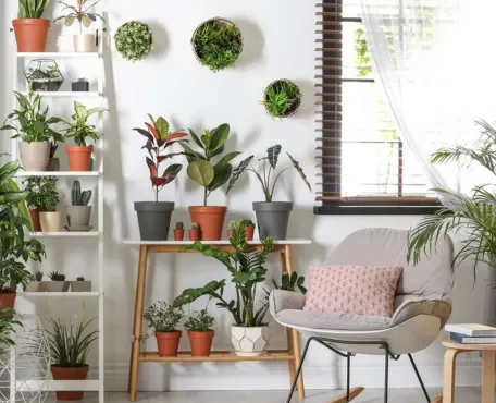 The Art of Incorporating Houseplants into Your Decor