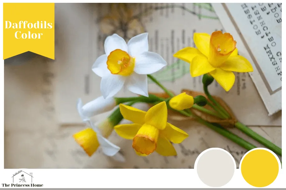 Daffodils: