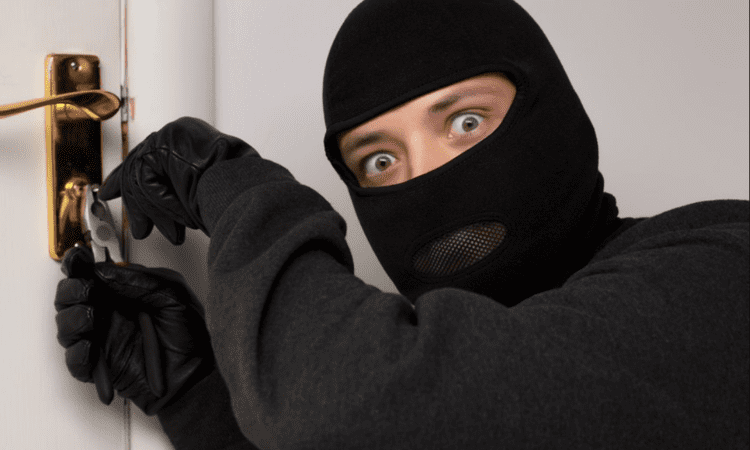 9 Tips To Protect Your Home From Being Stolen