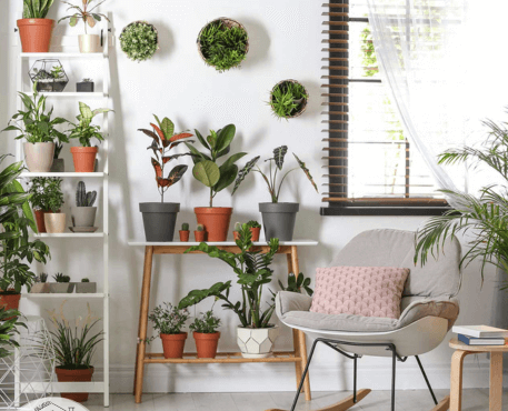Embracing Nature: The Art of Incorporating Houseplants into Your Decor